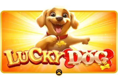 Sảnh live casino trực tuyến với dealer thật tại hocvienxoso